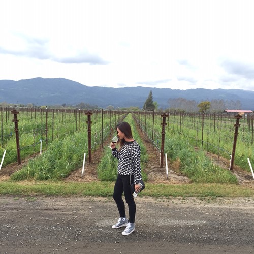 Suboi được báo Mỹ ca ngợi là #039;nữ hoàng hip hop#039; VN - 5