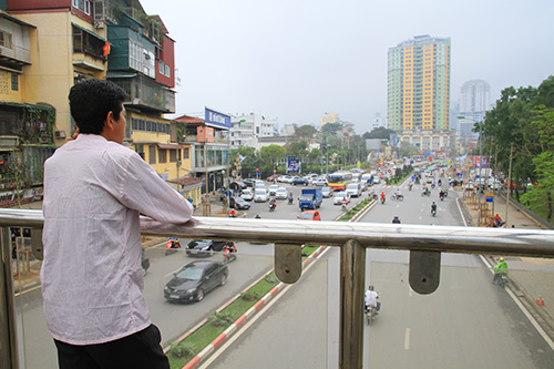 Đốn cây trên đường Nguyễn Chí Thanh trước khi có #039;lệnh#039; dừng chặt hạ - 7