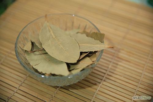 4 bước an toàn mà hiệu quả cho nhà sạch bóng gián - 8