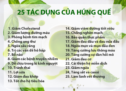 Húng quế mua một lần, ăn nghìn lần chẳng hết - 2