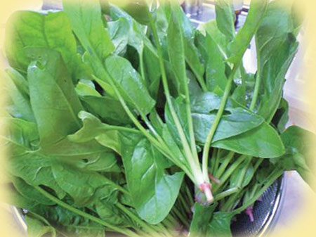 6 thực phẩm giúp gan khỏe mạnh - 2