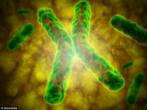 Tìm ra chìa khóa trẻ mãi không già - 1