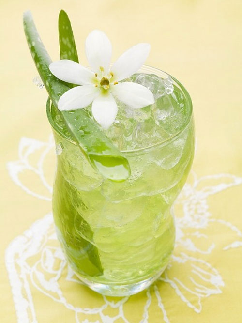 Cách làm nước nha đam đơn giản, đẹp da - 1