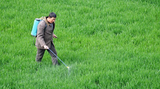 WHO cảnh báo khả năng glyphosate gây ung thư - 1