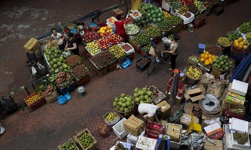 VN sẽ là con hổ dũng mãnh của kinh tế châu Á - 1