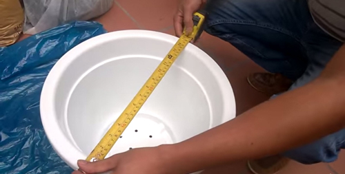 Trồng và chăm sóc hoa hồng đơn giản ngay tại nhà - 3