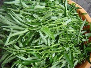 Nguy hiểm khi ăn rau muống không đúng cách