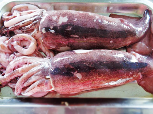 Hấp dẫn với mực nhồi thịt sốt cà chua - 4