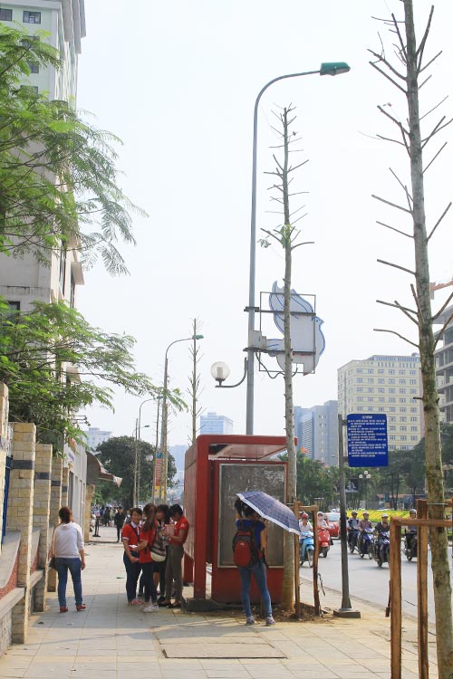Người Hà Nội vật vã trong nắng nóng đầu hè - 3
