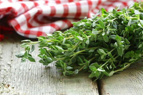 Thực phẩm giúp detox cả cơ thể cho chị em đón Tết - 8