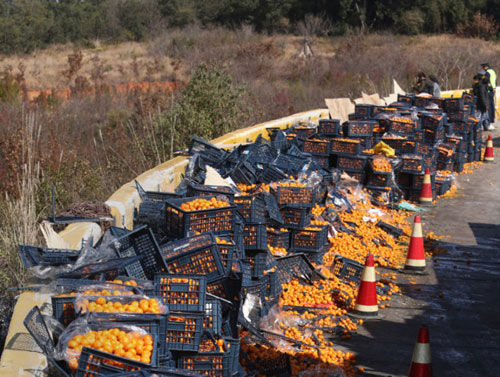 Xe chở cam lật, người dân TQ mang cả ô tô đến #039;hôi của#039; - 3