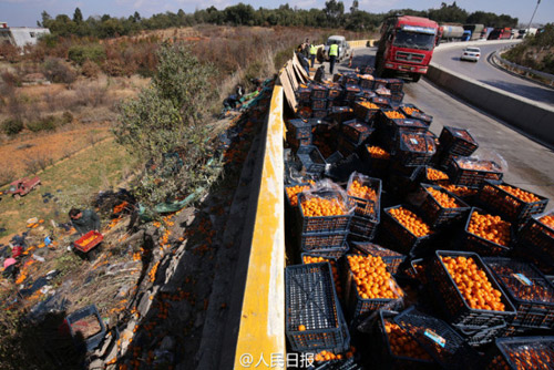 Xe chở cam lật, người dân TQ mang cả ô tô đến #039;hôi của#039; - 4