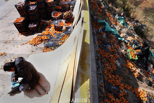 Xe chở cam lật, người dân TQ mang cả ô tô đến #039;hôi của#039; - 5