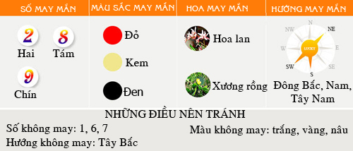 Vận mệnh tổng quan người tuổi Rắn năm 2016 - 1