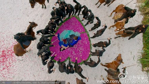 2 phim hot có kết thúc gây tranh cãi nhất tuần qua - 1