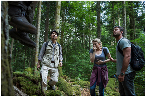 Những bí ẩn về khu rừng tự sát Aokigahara có thật tại Nhật - 2