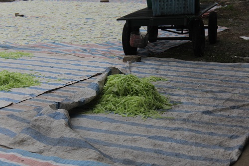 Kinh hoàng mứt Tết phơi cạnh khu vệ sinh, trộn lẫn đất cát - 6