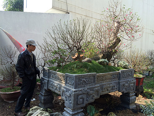 Độc đáo đào #039;hoa quả sơn#039; giá hàng chục triệu chơi Tết - 14