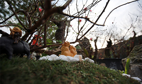 Độc đáo đào #039;hoa quả sơn#039; giá hàng chục triệu chơi Tết - 6