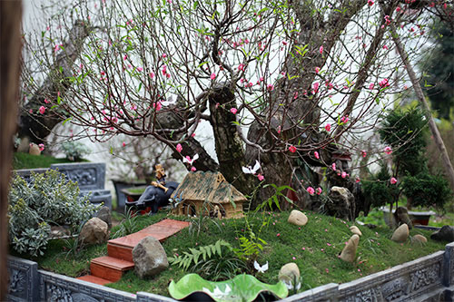 Độc đáo đào #039;hoa quả sơn#039; giá hàng chục triệu chơi Tết - 8