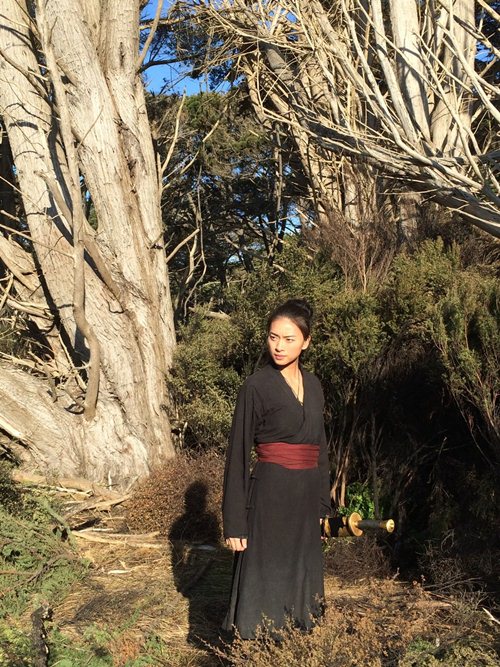 Ngô Thanh Vân gây nức lòng khi xuất hiện trên poster quot;Ngọa hổ tàng long 2quot; - 12