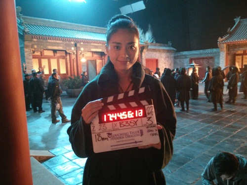 Ngô Thanh Vân gây nức lòng khi xuất hiện trên poster quot;Ngọa hổ tàng long 2quot; - 13