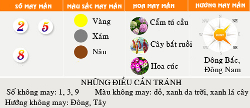 Vận mệnh tổng quan người tuổi Hợi năm 2016 - 1