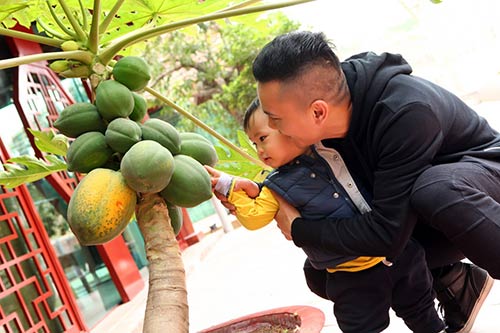 Con trai Tuấn Hưng, Anh Tú thích thú khi hội ngộ - 3