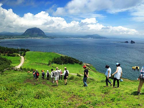 Du khách Việt mất tích tại đảo Jeju: Đủ chiêu trốn làm lao động chui - 1