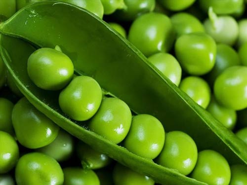 Phát hiện chất gây hỏng gan, ung thư trong bắp non và đậu Hà Lan - 1