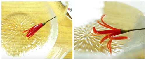 Tỉa hoa từ quả ớt chỉ trong nháy mắt - 3