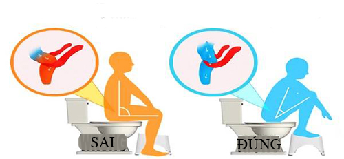 Nhiều người đang đi vệ sinh, xối nước bồn cầu sai cách - 2