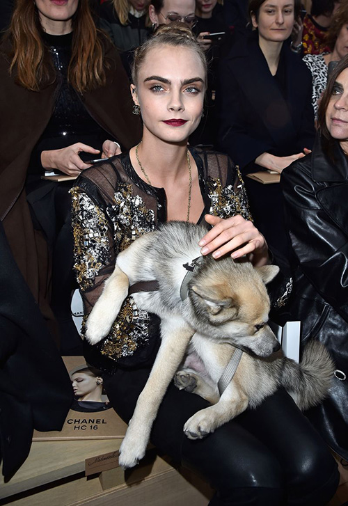 Cara Delevingne mặc xuyên thấu táo bạo xem show Chanel - 1