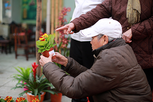 100.000 đồng một cây Báo xuân nhỏ xinh chơi Tết - 10