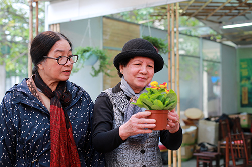 100.000 đồng một cây Báo xuân nhỏ xinh chơi Tết - 11