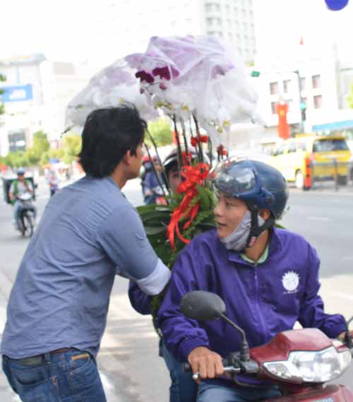 Lan Hồ Điệp giá tiền triệu hút khách dịp Tết - 19