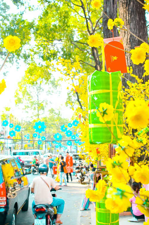 Thiếu nữ Sài Gòn xúng xính áo dài xuống phố chơi xuân - 1