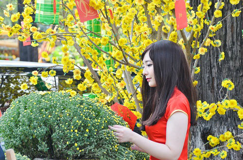 Thiếu nữ Sài Gòn xúng xính áo dài xuống phố chơi xuân - 7