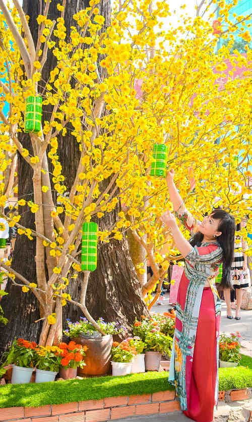 Thiếu nữ Sài Gòn xúng xính áo dài xuống phố chơi xuân - 8