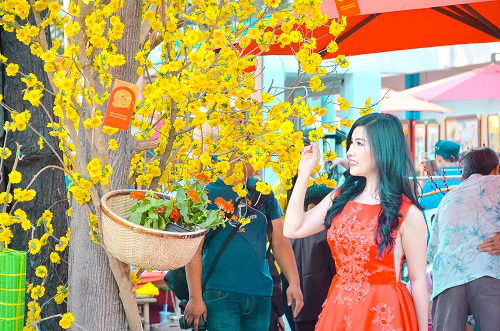 Thiếu nữ Sài Gòn xúng xính áo dài xuống phố chơi xuân - 12