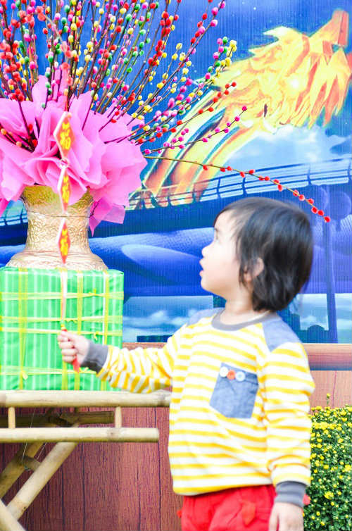 Thiếu nữ Sài Gòn xúng xính áo dài xuống phố chơi xuân - 17