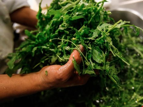 Sáu món ăn dễ gây ngộ độc nhất - 2