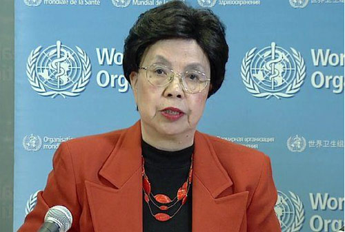 WHO ban bố tình trạng khẩn cấp toàn cầu về virus Zika - 1