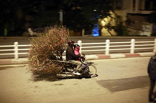 Chợ hoa đào đêm nhộn nhịp ngày cuối năm - 10