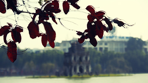 Hà Nội đẹp lạ mùa cây đỏ lá - 13