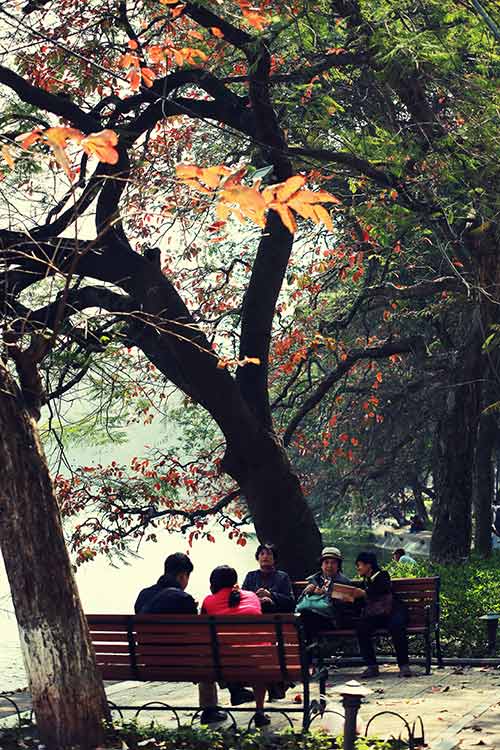 Hà Nội đẹp lạ mùa cây đỏ lá - 5