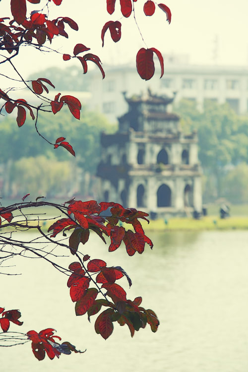 Hà Nội đẹp lạ mùa cây đỏ lá - 4