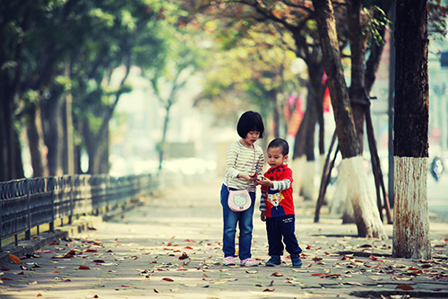 Hà Nội đẹp lạ mùa cây đỏ lá - 15