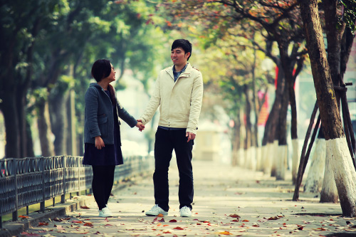 Hà Nội đẹp lạ mùa cây đỏ lá - 14