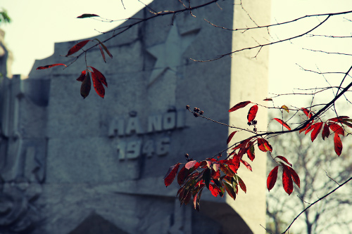 Hà Nội đẹp lạ mùa cây đỏ lá - 17